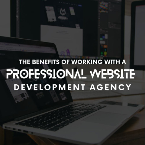 The Benefits of Working with a Professional Website Development Agency